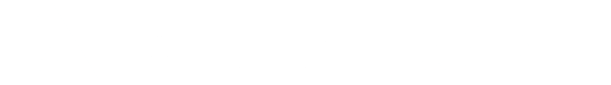 AuditOne